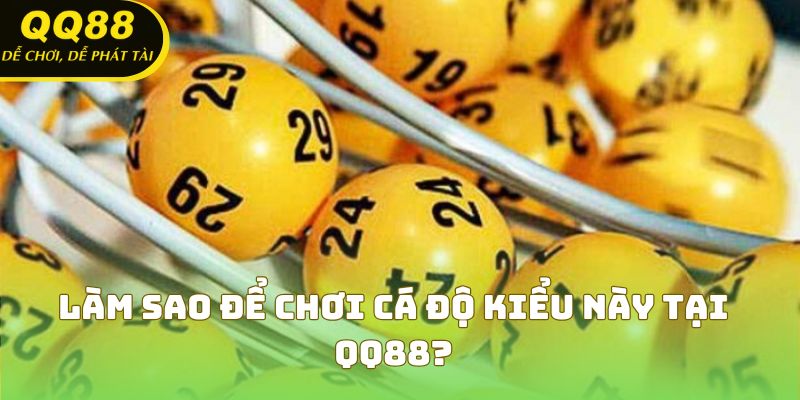 Làm sao để chơi cá độ kiểu này tại QQ88?